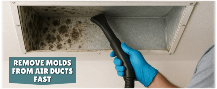 Air Duct Mold Removal in Cupertino CA